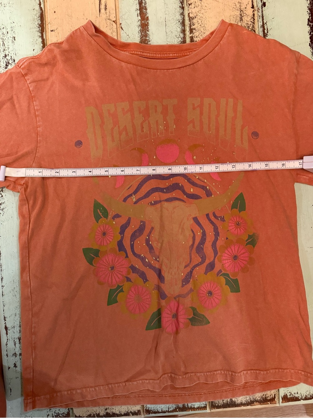 Desert Soul Graphic Tee